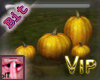 bIT Pumpkins VIP
