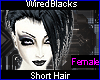 -F hairstyle 04L