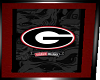 UGA YouTube Player