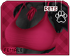 [Pets] Ziro | top v1