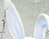 ® Bunny Blue
