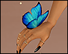 Blue Butterfly On Hand