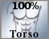 100% Torso Scaler -M-