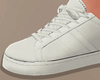 White  | Sneakers