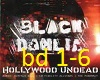 Black Dahlia Box 1