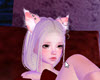 The cute cat devil 4