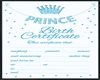 Birth Certificate Sample