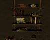 ( K ) D Bookshelf