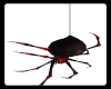 ANIMATED hanging spider