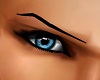 SL Eyebrows M