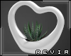 R║ White Heart Plant