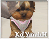 KYH |baby pink pet dog