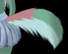 Nova Tail/SP