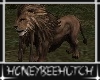 HBH Lion Pet