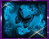 Nova's Blue Butterfly 6