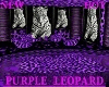 HOT PURPLE LEOPARD CLUB~