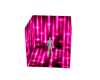 Anim. Pink BG