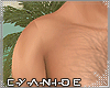 ₡ Muscle Body + Hair