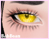 B| Bee Eyes 2T