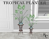 SC Tropical Planter