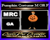 Pumpkin Costume M OR F