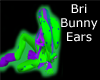 Bri-bunny ears