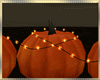 Pumpkins ~ Deco