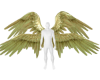 !V Gold 2 Animated Wings