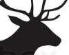 [FP] blk deer antlers