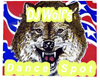 DjWolf's Dance Spot