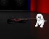 White Puppy & Guitar 