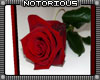 Valentine Rose Frame