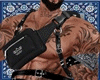 M|►t/bermuda-Bundle