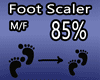 Scaler Foot -Pie 85%