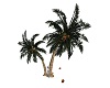 PalmTree& coconuts