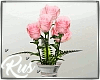Rus: B&B pink roses