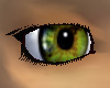 Green eyes - Female