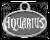 WS ~ Studded Aquarius Ck