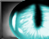 Crystal Blue Cat Eyes*F