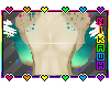 Feather Andro TOP ONLY