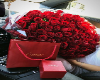  Rose Backg*Anim*