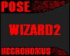Wizards Pose 2