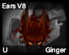 Ginger Ears V8