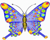 blueButterfly