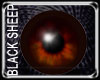 SupaChoc Eyes BlackSheep