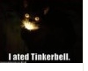 Tinkerbell Kitty