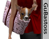 Cachorro Chihuahua Bag