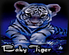 SS-Baby Tiger Picture