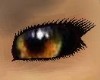 Wolf Eyes
