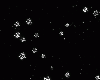 🅲 Stars BG